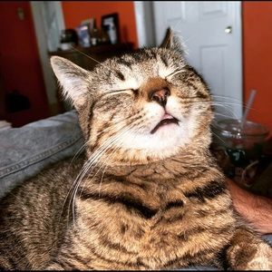 Meet your Posher, Jameson